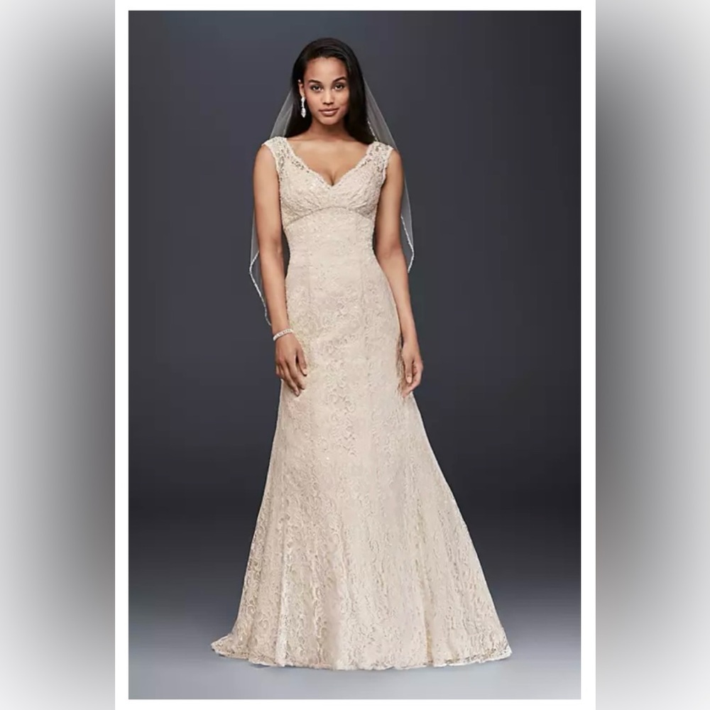 David's Bridal Ivory Lace Gown
